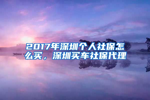 2017年深圳个人社保怎么买，深圳买车社保代理