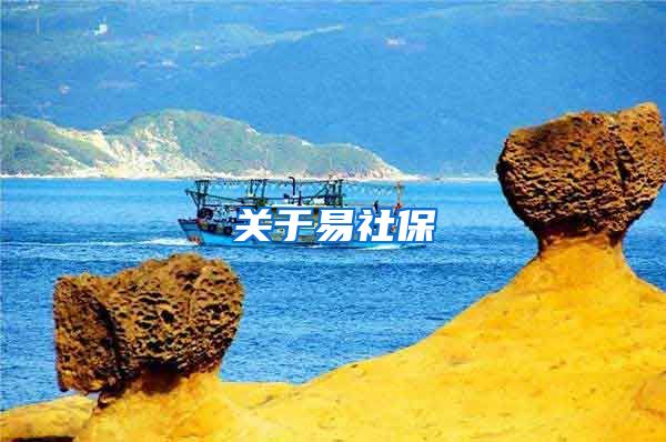 关于易社保