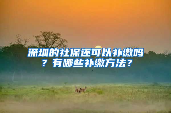 深圳的社保还可以补缴吗？有哪些补缴方法？