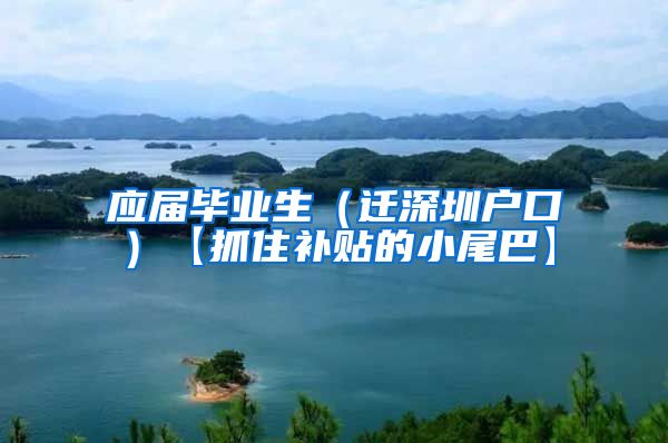 应届毕业生（迁深圳户口）【抓住补贴的小尾巴】