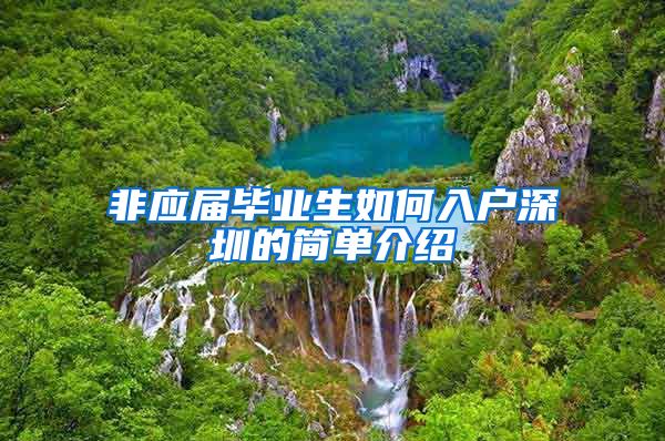 非应届毕业生如何入户深圳的简单介绍
