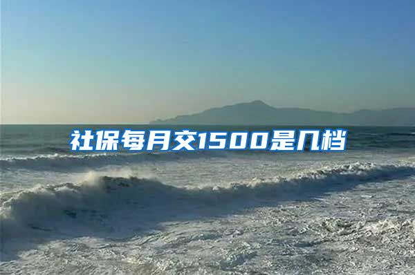 社保每月交1500是几档
