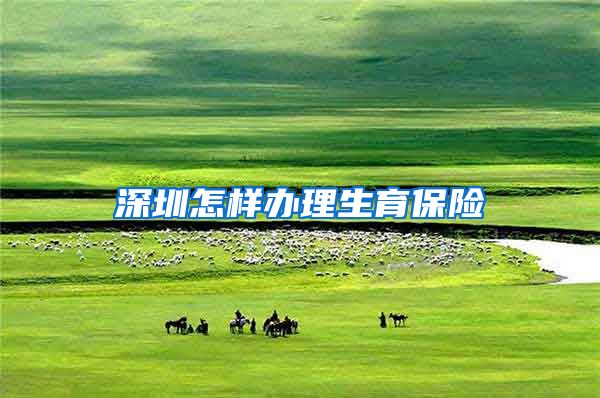 深圳怎样办理生育保险