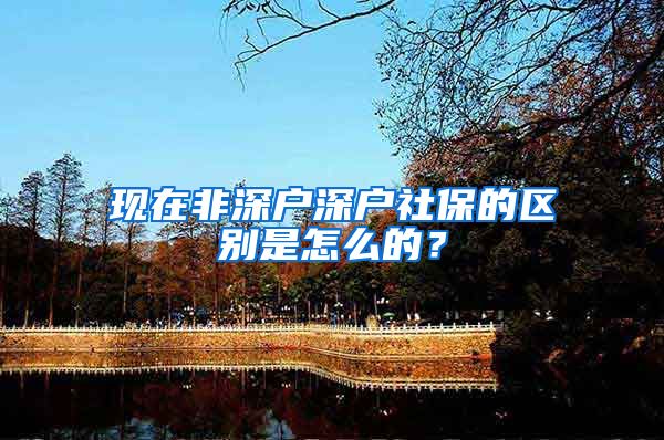 现在非深户深户社保的区别是怎么的？