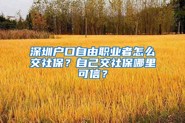 深圳户口自由职业者怎么交社保？自己交社保哪里可信？