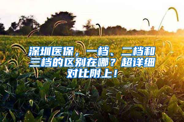 深圳医保，一档、二档和三档的区别在哪？超详细对比附上！