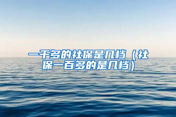 一千多的社保是几档（社保一百多的是几档）