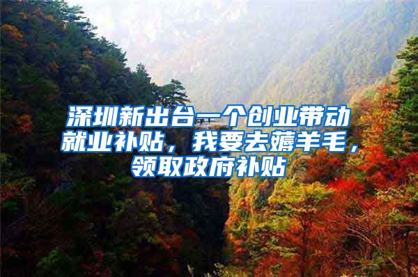 深圳新出台一个创业带动就业补贴，我要去薅羊毛，领取政府补贴