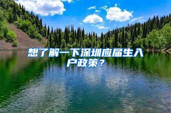 想了解一下深圳应届生入户政策？