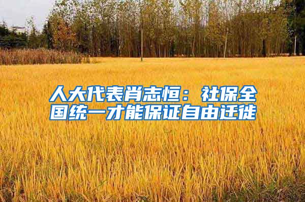 人大代表肖志恒：社保全国统一才能保证自由迁徙