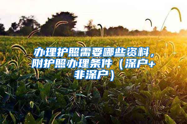 办理护照需要哪些资料，附护照办理条件（深户+非深户）