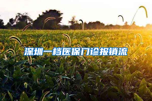 深圳一档医保门诊报销流
