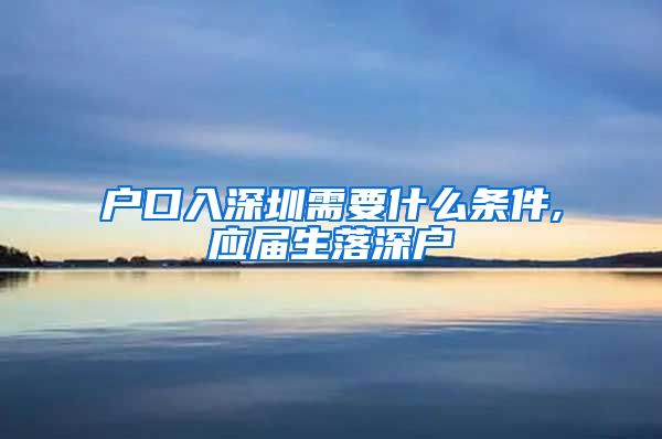 户口入深圳需要什么条件,应届生落深户