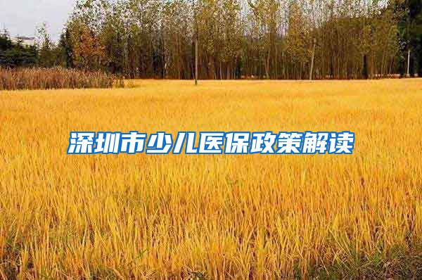 深圳市少儿医保政策解读