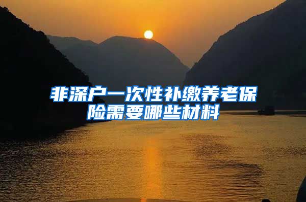 非深户一次性补缴养老保险需要哪些材料