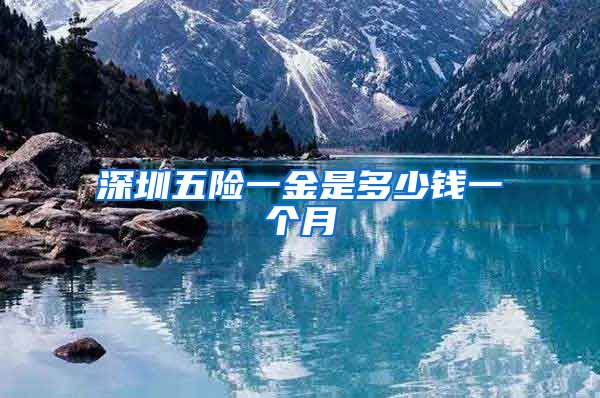 深圳五险一金是多少钱一个月