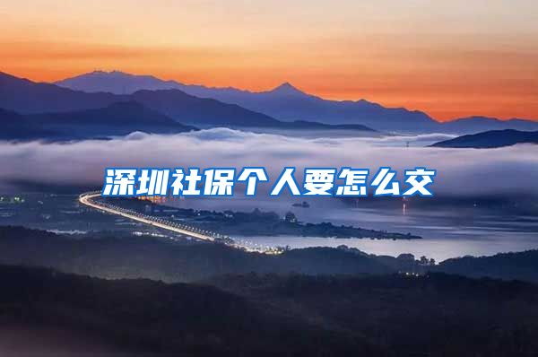 深圳社保个人要怎么交