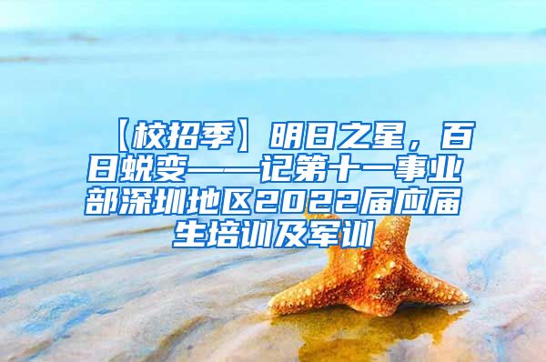 【校招季】明日之星，百日蜕变——记第十一事业部深圳地区2022届应届生培训及军训