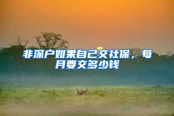 非深户如果自己交社保，每月要交多少钱