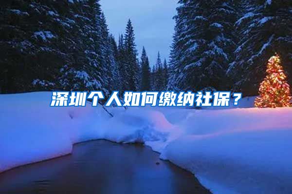 深圳个人如何缴纳社保？