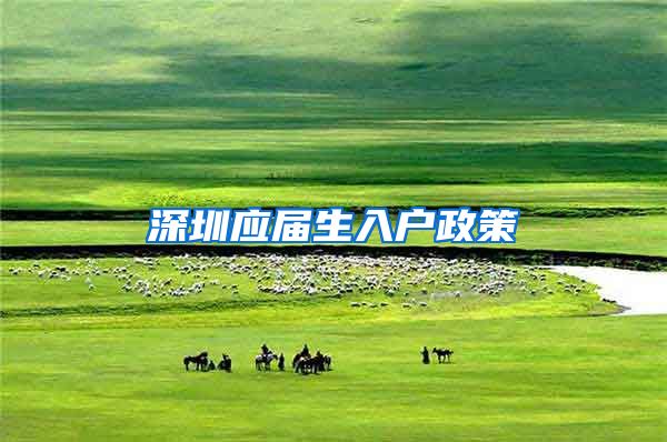 深圳应届生入户政策