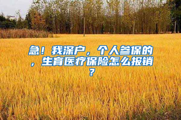 急！我深户，个人参保的，生育医疗保险怎么报销？