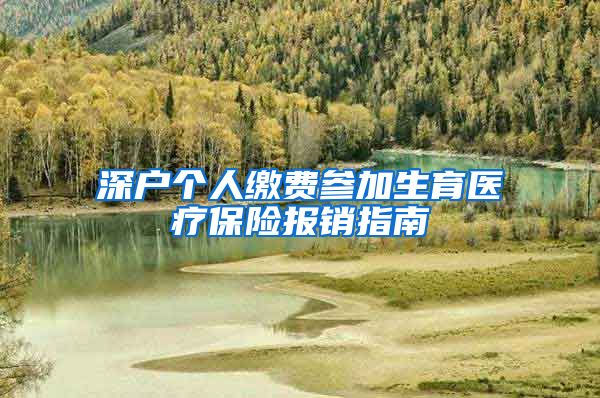 深户个人缴费参加生育医疗保险报销指南