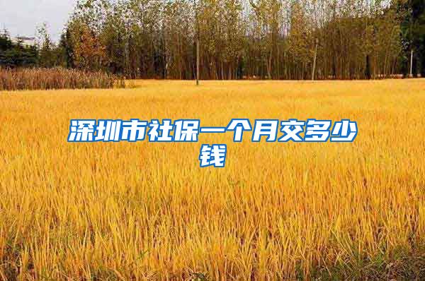 深圳市社保一个月交多少钱