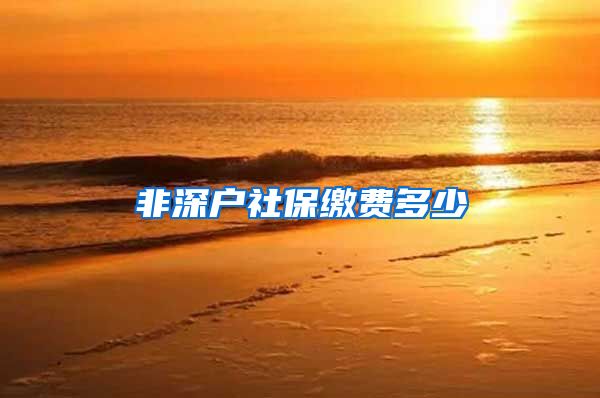 非深户社保缴费多少
