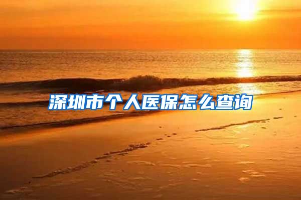 深圳市个人医保怎么查询