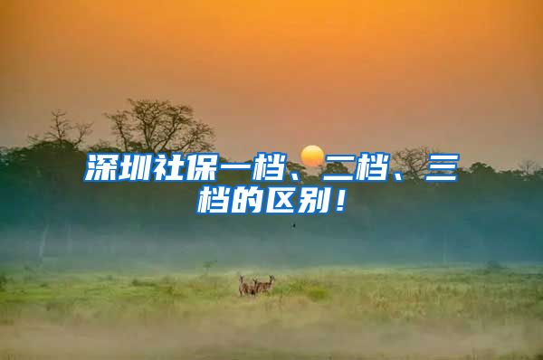 深圳社保一档、二档、三档的区别！