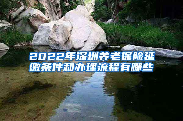 2022年深圳养老保险延缴条件和办理流程有哪些