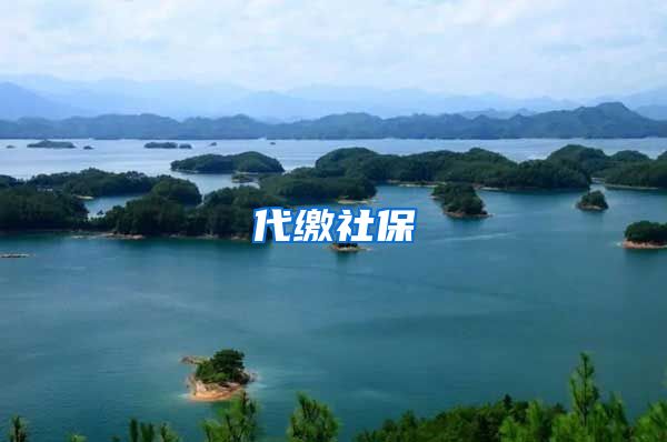 代缴社保
