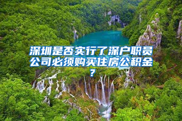 深圳是否实行了深户职员公司必须购买住房公积金？