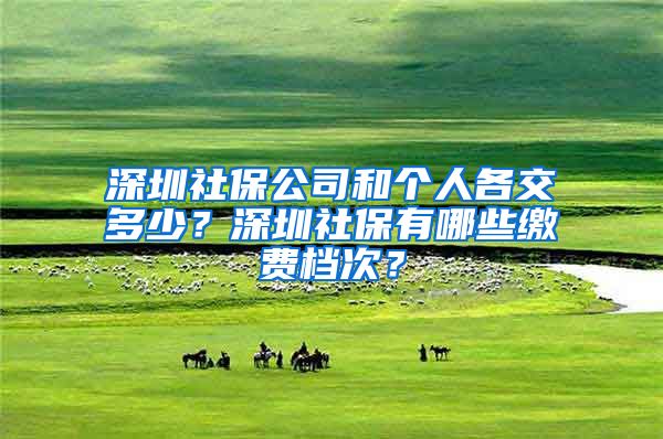 深圳社保公司和个人各交多少？深圳社保有哪些缴费档次？