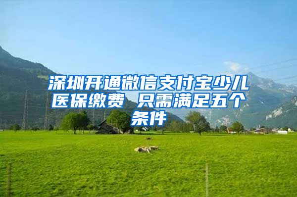 深圳开通微信支付宝少儿医保缴费 只需满足五个条件