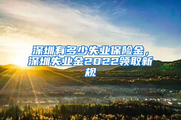 深圳有多少失业保险金，深圳失业金2022领取新规