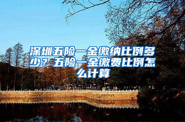 深圳五险一金缴纳比例多少？五险一金缴费比例怎么计算