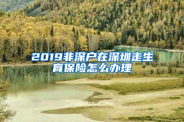 2019非深户在深圳走生育保险怎么办理