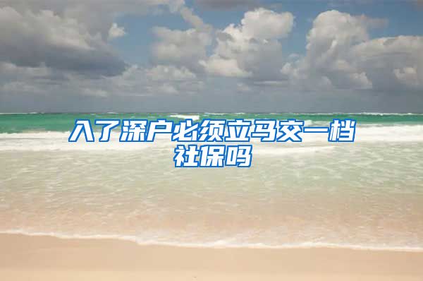 入了深户必须立马交一档社保吗
