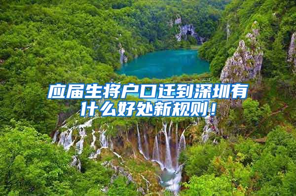 应届生将户口迁到深圳有什么好处新规则！