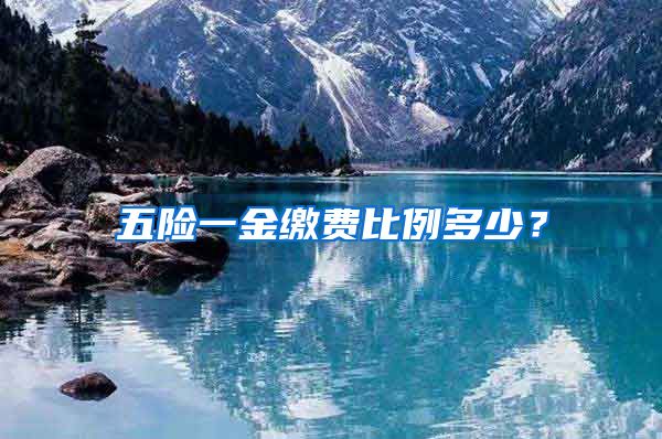 五险一金缴费比例多少？
