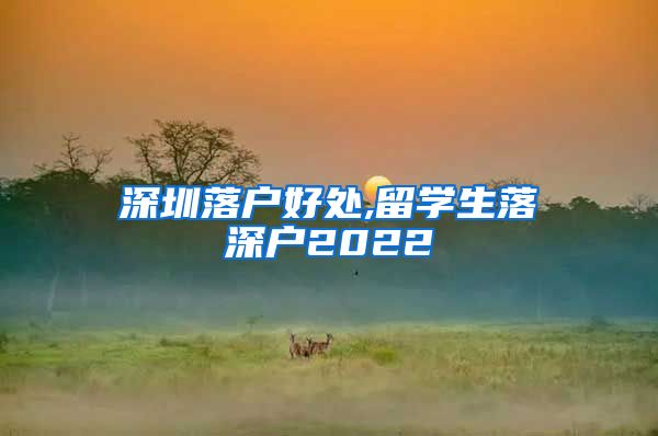 深圳落户好处,留学生落深户2022