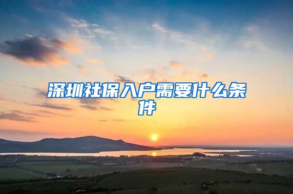 深圳社保入户需要什么条件