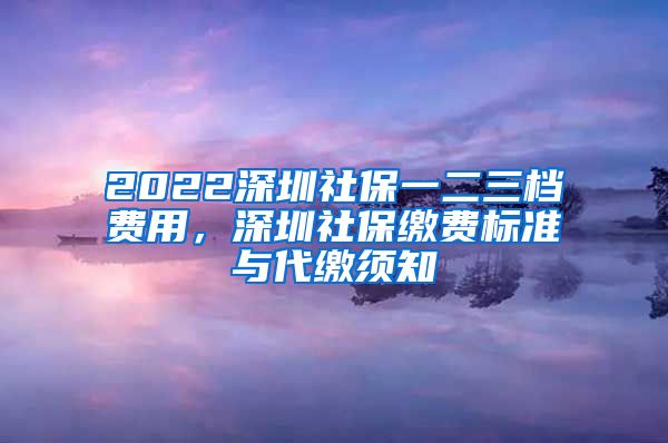 2022深圳社保一二三档费用，深圳社保缴费标准与代缴须知
