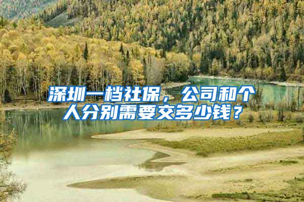 深圳一档社保，公司和个人分别需要交多少钱？