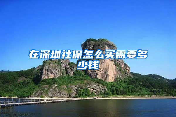 在深圳社保怎么买需要多少钱