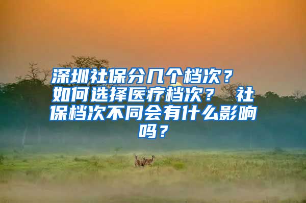 深圳社保分几个档次？ 如何选择医疗档次？ 社保档次不同会有什么影响吗？
