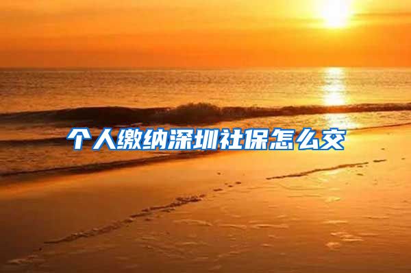 个人缴纳深圳社保怎么交