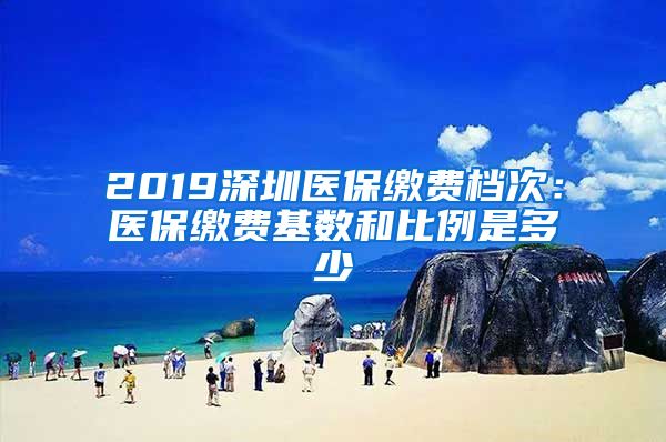 2019深圳医保缴费档次：医保缴费基数和比例是多少
